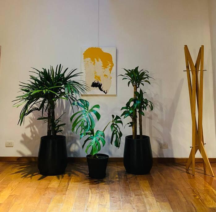 Arts Loft, A Estrenar! Buenos Aires Apartment Екстериор снимка